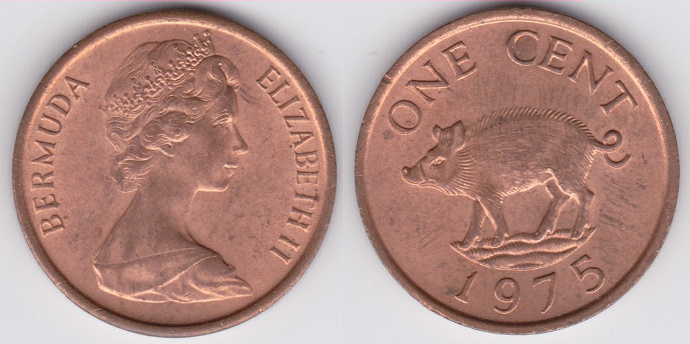 Image Temporarily Unavailable