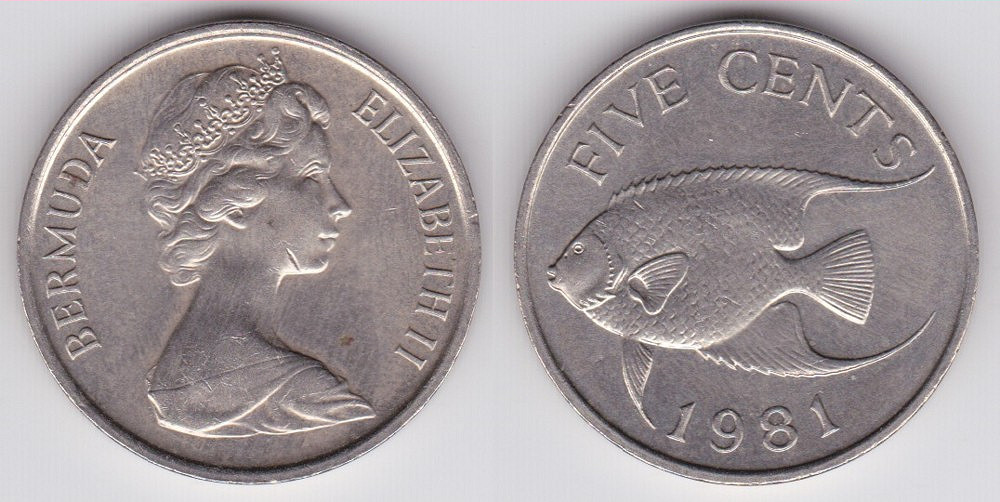 Image Temporarily Unavailable