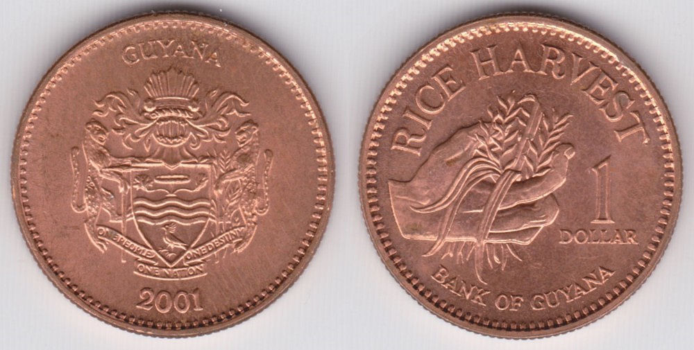 Image Temporarily Unavailable