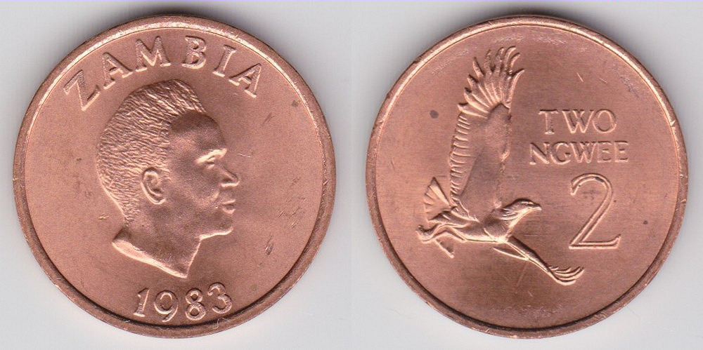 Image Temporarily Unavailable