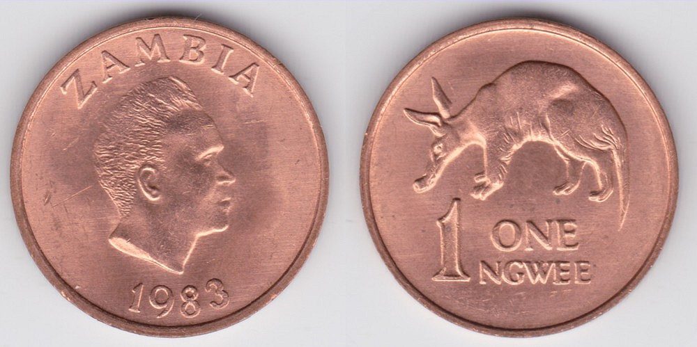 Image Temporarily Unavailable