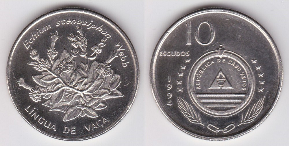 Image Temporarily Unavailable