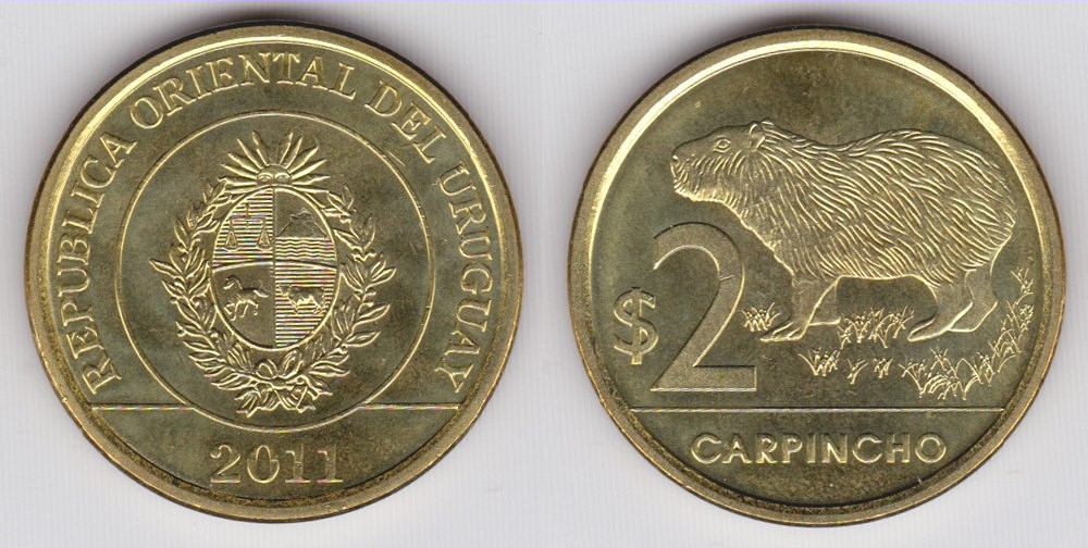 Image Temporarily Unavailable