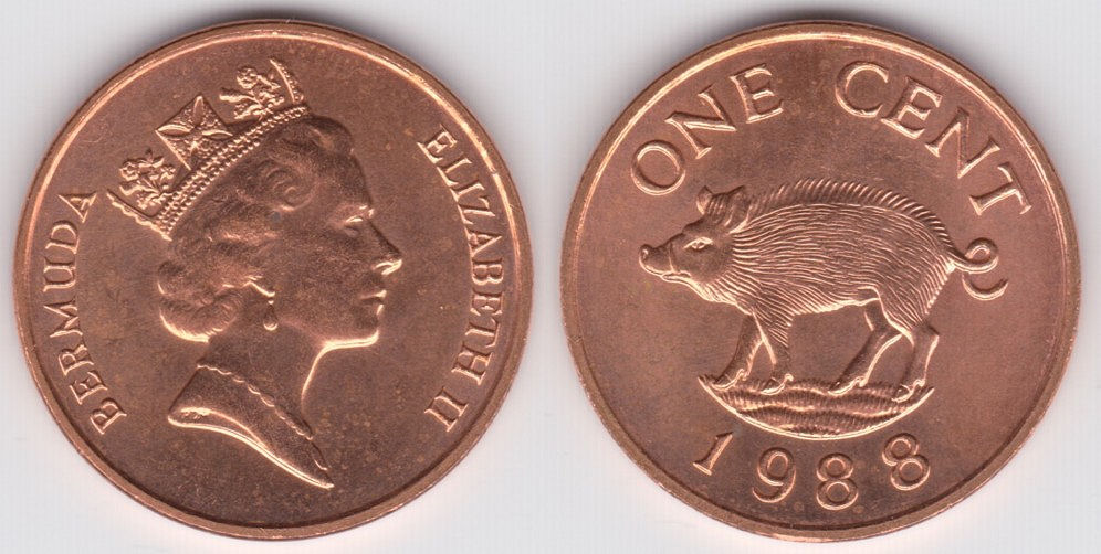 Image Temporarily Unavailable