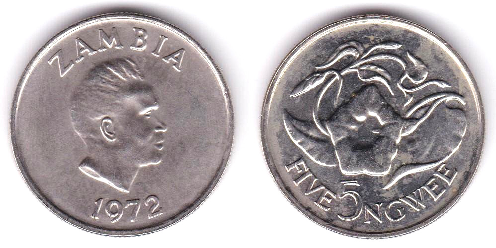 Image Temporarily Unavailable