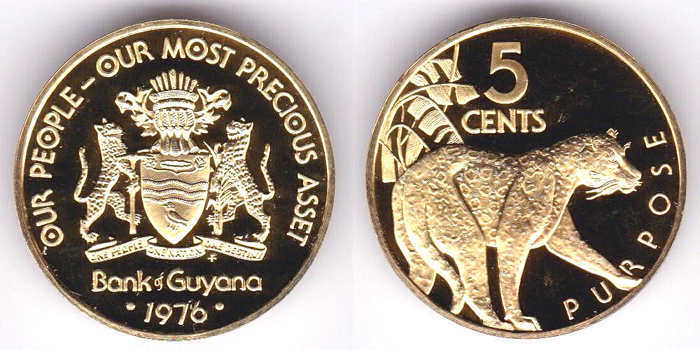 Image Temporarily Unavailable