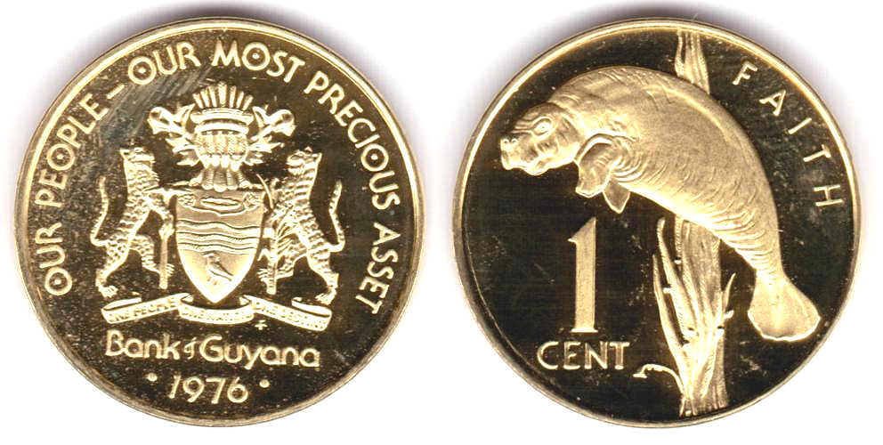 Image Temporarily Unavailable