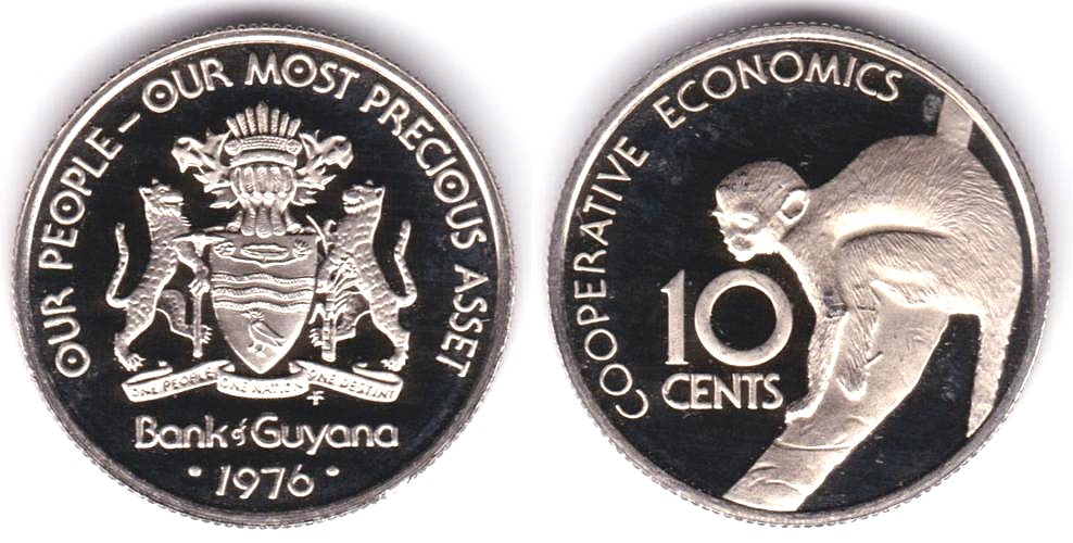 Image Temporarily Unavailable