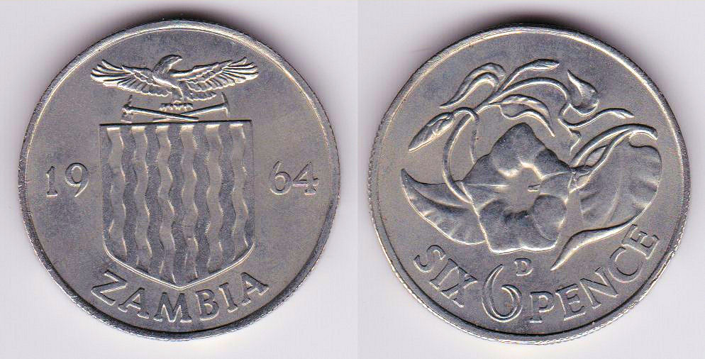 Image Temporarily Unavailable