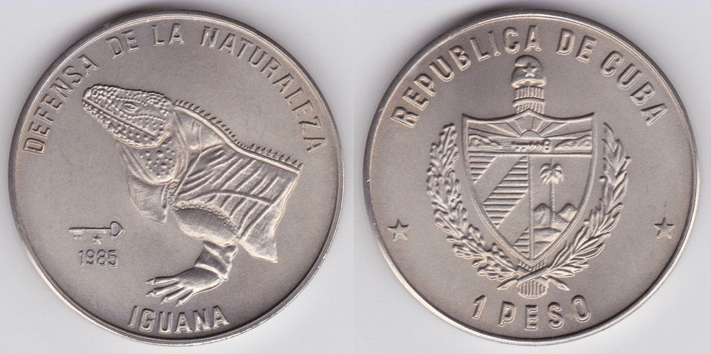 Image Temporarily Unavailable