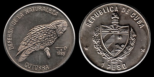 Loading coin image...